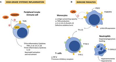 Dysfunctional Immune Response in Acute-on-Chronic Liver Failure: It Takes Two to Tango